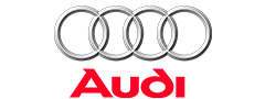 logo-audit