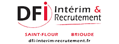 logo-dfi